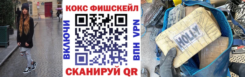 Кокаин Fish Scale Олёкминск