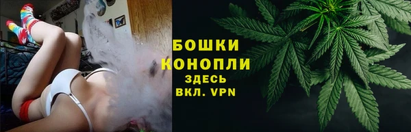 МДПВ Козельск