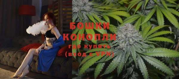 spice Козловка