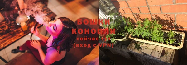 МДПВ Козельск
