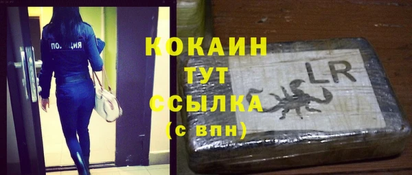 спайс Корсаков